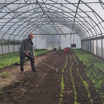 Na onze geslaagde opendeurdag kan iedereen weer 'gewoon' aan het werk.
En dat betekent: serres opkuisen, resten van zomergewassen afvoeren en aan de herfst- en winterteelten beginnen.
Alles voor jullie gezonde en lokale biodynamische groenten!
Te koop via onze groentepakketten of hoevewinkel.
Openingsuren Hoevewinkel:
dinsdag - vrijdag: 14u-19u
zaterdag: u-16u
Bestel je proefpakket en haal af in één van onze 25 afhaalpunten: https://www.kollebloem.be/bio-groentepakketten