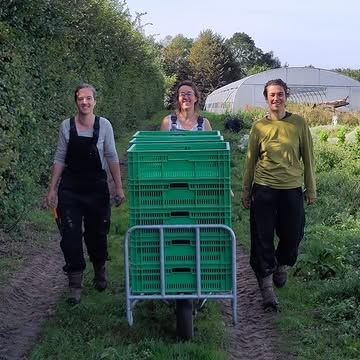 👩‍🌾👩‍🌾👨‍🌾👩‍🌾👩‍🌾 Onze boer.inn.en druk in de weer voor de groentepakketten. Alles kraakvers geoogst op maandag, dinsdag in het pakket en geleverd op onze afhaalpunten. 100% bio, gezond en lokaal!
Wil je ook gezonde biodynamische groenten?
🚜 Wekelijks oogsten wij het beste van ons land en kan je afhalen op één van onze 25 afhaalpunten in zuid Oost-Vlaanderen. Alles is BIO, kraakvers en eerlijk voor de boeren.
🥕🥒🍅🌽 Wij zorgen voor de diversiteit en kwaliteit. Bij elk pakket vind je een nieuwsbrief met recepten en nieuws van De Kollebloem.
Wil je ook fruit, aardappelen of brood? Dat kan, alles is bio.
👉 Bestel je proefpakket via: https://www.kollebloem.be/bio-groentepakketten
Actie: 5% korting op een proefpakket van 4 weken