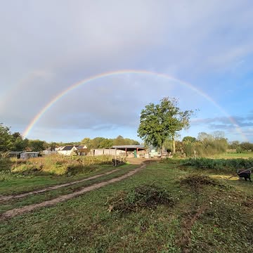 Vanochtend kregen we deze dubbele regenboog cadeau.
Laat het maar regenen.
Meer van dat.