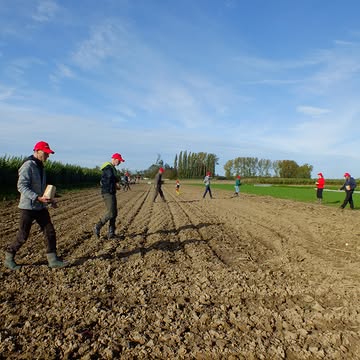 Kom mee Toekomst Zaaien op zaterdag 17 oktober (schrijf je wel in!).

Elk jaar zaaien we samen met onze klanten spelt graan.
We doen dit al meer dan 10 jaar en willen jou dan ook graag uitnodigen voor deze mooie activiteit.

Het is bijzonder dat er nog spelt met de hand wordt gezaaid. Het is zelfs bijzonder dat er spelt wordt gezaaid om brood van te bakken. Het meeste graan wordt immers geteeld voor veevoeder.

De weg van graan naar brood loopt als volgt:
👩‍🌾 👨‍🌾 Wij zaaien met de hand, jaarlijks in oktober. Samen met onze klanten.
🌾 In juli of augustus van het jaar nadien wordt het graan geoogst.
⏱️ Enkele maanden later wordt de spelt gepeld. Spelt graantjes zitten immers per twee in een omhulling. Daarom heeft spelt een extra bewerking nodig.
🏞 Na het pellen wordt ons graan gemalen bij de Ijzerkotmolen. Dat is een oude watermolen die gerestaureerd werd en professioneel wordt uitgebaat. De molenaars verkregen vorig jaar zelfs het DEMETER biodynamische keurmerk. Dat is uniek in België voor een molen. De molen ligt in vogelvlucht 1 km van ons veld.
👩‍🍳 Zodra het meel klaar is gaat bakker Daphné van Burenbrood aan de slag om er heerlijk desembrood van te bakken.
🍞 Het speltbrood is te koop in onze hoevewinkel en wordt mee geleverd met de groentepakketten.

We kunnen het niet wegsteken, wij zijn er een beetje trots op ;)

Bij deze ben je dus hartelijk welkom heel deze keten in gang te zetten.
Een unieke ervaring en een topactiviteit voor de kinderen.

Praktisch:
We zaaien op ons veld in Zwalm (Hazenlos) van 14u-16u op zaterdag 17 oktober.

Enkel na inschrijving via: info@kollebloem.be

@bakkerij.burenbrood @ijzerkotmolen @demeter_nl