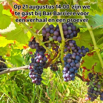 Op 21 augustus om 14.00 ben ik te gast @bar_barriere in Tiegem voor een leuk verhaal over landbouw en natuur met de nodige proevertjes. Inschrijven @bar_barriere