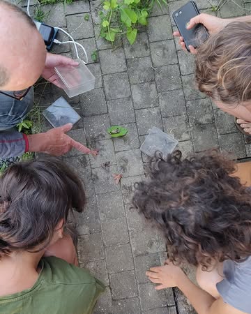 An over de nachtvlinders op de boerderij

'𝘝𝘭𝘪𝘯𝘥𝘦𝘳𝘴𝘱𝘦𝘤𝘪𝘢𝘭𝘪𝘴𝘵 𝘒𝘰𝘦𝘯 𝘋𝘦𝘣𝘰𝘶𝘤𝘬 𝘬𝘸𝘢𝘮 𝘦𝘯𝘬𝘦𝘭𝘦 𝘸𝘦𝘬𝘦𝘯 𝘨𝘦𝘭𝘦𝘥𝘦𝘯 𝘰𝘱 𝘣𝘦𝘻𝘰𝘦𝘬 𝘰𝘮 𝘥𝘦 (𝘯𝘢𝘤𝘩𝘵𝘦𝘭𝘪𝘫𝘬𝘦) 𝘣𝘪𝘰𝘥𝘪𝘷𝘦𝘳𝘴𝘪𝘵𝘦𝘪𝘵 𝘰𝘱 𝘥𝘦 𝘡𝘰𝘯𝘯𝘦𝘬𝘰𝘶𝘵𝘦𝘳 𝘪𝘯 𝘣𝘦𝘦𝘭𝘥 𝘵𝘦 𝘣𝘳𝘦𝘯𝘨𝘦𝘯. 𝘋𝘦 𝘯𝘢𝘤𝘩𝘵𝘷𝘭𝘪𝘯𝘥𝘦𝘳𝘴 𝘬𝘶𝘯𝘯𝘦𝘯 𝘨𝘦𝘮𝘢𝘬𝘬𝘦𝘭𝘪𝘫𝘬𝘦𝘳 𝘨𝘦𝘵𝘦𝘭𝘥 𝘸𝘰𝘳𝘥𝘦𝘯 𝘦𝘯 𝘻𝘰 𝘰𝘰𝘬 𝘷𝘦𝘳𝘨𝘦𝘭𝘦𝘬𝘦𝘯 𝘸𝘰𝘳𝘥𝘦𝘯 𝘮𝘦𝘵 𝘢𝘯𝘥𝘦𝘳𝘦 𝘱𝘭𝘢𝘢𝘵𝘴𝘦𝘯. 𝘋𝘪𝘵 𝘬𝘢𝘯 𝘫𝘦 𝘥𝘢𝘯 𝘨𝘦𝘣𝘳𝘶𝘪𝘬𝘦𝘯 𝘢𝘭𝘴 𝘨𝘳𝘢𝘢𝘥𝘮𝘦𝘵𝘦𝘳 𝘷𝘰𝘰𝘳 𝘥𝘦 𝘣𝘪𝘰𝘥𝘪𝘷𝘦𝘳𝘴𝘪𝘵𝘦𝘪𝘵 𝘷𝘢𝘯 𝘥𝘦 𝘷𝘦𝘳𝘴𝘤𝘩𝘪𝘭𝘭𝘦𝘯𝘥𝘦 𝘱𝘭𝘦𝘬𝘬𝘦𝘯. 𝘒𝘰𝘦𝘯 𝘧𝘰𝘵𝘰𝘨𝘳𝘢𝘧𝘦𝘦𝘳𝘥𝘦 𝘦𝘯 𝘥𝘦𝘵𝘦𝘳𝘮𝘪𝘯𝘦𝘦𝘳𝘥𝘦 𝘩𝘪𝘦𝘳 𝘰𝘱 1 𝘯𝘢𝘤𝘩𝘵 𝘻𝘰 𝘮𝘢𝘢𝘳 𝘦𝘷𝘦𝘯 118 𝘴𝘰𝘰𝘳𝘵𝘦𝘯! 𝘏𝘪𝘫 𝘨𝘢𝘧 𝘢𝘢𝘯 𝘥𝘢𝘵 𝘥𝘦 𝘳𝘦𝘴𝘶𝘭𝘵𝘢𝘵𝘦𝘯 𝘻𝘦𝘦𝘳 𝘨𝘰𝘦𝘥 𝘸𝘢𝘳𝘦𝘯 𝘷𝘰𝘰𝘳 𝘦𝘦𝘯 𝘢𝘨𝘳𝘢𝘳𝘪𝘴𝘤𝘩 𝘨𝘦𝘣𝘪𝘦𝘥 𝘻𝘰𝘯𝘥𝘦𝘳 𝘣𝘰𝘴𝘻𝘰𝘰𝘮; 𝘸𝘦 𝘮𝘰𝘨𝘦𝘯 𝘩𝘦𝘵 𝘨𝘦𝘪̈𝘯𝘷𝘦𝘯𝘵𝘢𝘳𝘪𝘴𝘦𝘦𝘳𝘥𝘦 𝘨𝘦𝘣𝘪𝘦𝘥 𝘴𝘰𝘰𝘳𝘵𝘦𝘯𝘳𝘪𝘫𝘬 𝘦𝘯 𝘣𝘪𝘰-𝘥𝘪𝘷𝘦𝘳𝘴 𝘯𝘰𝘦𝘮𝘦𝘯!

Lees hier de volledige brief: https://www.dezonnekouter.be/nieuws-activiteiten/pakket-week-29-2026/

Samenstelling pakket:
Klein: prinsessenboontjes, sla, groene paprika en courgettes van eigen Zonnekouterland (Vroente); spitskool en bosbiet van De Kollebloem (Vroente); aubergine van Ourobouros (Vroente).
Groot: prinsessenboontjes, sla, busselwortel en courgettes van eigen Zonnekouterland (Vroente); koolrabi en spitskool van De Kollebloem (Vroente); aubergine, koriander en warmoes van Ourobouros (Vroente).
Gemengd: courgettes van eigen Zonnekouterland (Vroente); aubergines en rode bes van Ourobouros (Vroente); bosbiet en andijvie van De Kollebloem (Vroente); nectarines (Es) en perzik (ES).
Fruit: bramen van Ourobouros (Vroente); nectarines (ES); charentais (Fr) ; perzik (ES) en banaan (Pe, Fair Trade).