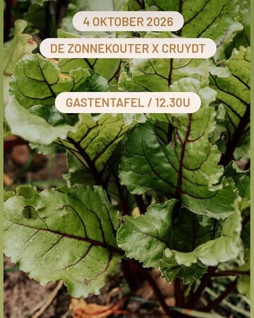 Marie kondigt met plezier de gastentafel van Cruydt op De Zonnekouter aan:

'𝘝𝘰𝘭𝘨𝘦𝘯𝘥𝘦 𝘻𝘰𝘯𝘥𝘢𝘨𝘮𝘪𝘥𝘥𝘢𝘨, 4 𝘰𝘬𝘵𝘰𝘣𝘦𝘳, 𝘬𝘰𝘮𝘦𝘯 𝘙𝘦𝘮𝘣𝘦𝘳𝘵 𝘦𝘯 𝘐𝘯𝘦 𝘷𝘢𝘯 𝘊𝘳𝘶𝘺𝘥𝘵 𝘪𝘯 𝘏𝘢𝘯𝘴𝘣𝘦𝘬𝘦 𝘬𝘰𝘬𝘦𝘯 𝘰𝘱 𝘥𝘦 𝘡𝘰𝘯𝘯𝘦𝘬𝘰𝘶𝘵𝘦𝘳.
𝘋𝘢𝘯 𝘰𝘳𝘨𝘢𝘯𝘪𝘴𝘦𝘳𝘦𝘯 𝘸𝘦 𝘴𝘢𝘮𝘦𝘯 𝘮𝘦𝘵 𝘩𝘦𝘯 𝘦𝘦𝘯 𝘨𝘢𝘴𝘵𝘦𝘯𝘵𝘢𝘧𝘦𝘭, 𝘥𝘢𝘵 𝘢𝘧𝘩𝘢𝘯𝘬𝘦𝘭𝘪𝘫𝘬 𝘷𝘢𝘯 𝘩𝘦𝘵 𝘸𝘦𝘦𝘳 𝘥𝘢𝘵 𝘰𝘱 𝘩𝘦𝘵 𝘦𝘳𝘧, 𝘪𝘯 𝘥𝘦 𝘴𝘤𝘩𝘶𝘶𝘳 𝘰𝘧 𝘪𝘯 𝘥𝘦 𝘴𝘦𝘳𝘳𝘦 𝘻𝘢𝘭 𝘻𝘪𝘫𝘯.
𝘑𝘦 𝘬𝘢𝘯 𝘬𝘰𝘮𝘦𝘯 𝘨𝘦𝘯𝘪𝘦𝘵𝘦𝘯 𝘷𝘢𝘯 𝘦𝘦𝘯 𝘬𝘳𝘢𝘢𝘬𝘷𝘦𝘳𝘴 𝘮𝘦𝘯𝘶, 𝘨𝘦𝘴𝘤𝘩𝘪𝘬𝘵 𝘷𝘰𝘰𝘳 𝘫𝘰𝘯𝘨 𝘦𝘯 𝘰𝘶𝘥(𝘦𝘳).'

Ontdek hier wat er op de menu staat en hoe je jouw plekje kan reserveren:
https://www.dezonnekouter.be/nieuws-activiteiten/cruydt-x-zonnekouter/

Samenstelling pakket
Klein: chinese kool, radijs, sla, puntpaprika, spinazie, rode kool van eigen Zonnekouterland (Vroente)
Groot: chinese kool, radijs, sla, rucola, spinazie, rode kool, prinsessen, tomaat monda, groenlof, oxella wortelen van eigen Zonnekouterland (Vroente)
Gemengd: paksoi, prinsessen, sla little gem, rode kool van eigen Zonnekouterland (Vroente); peer conference, appel elstar van de Fruittuin; witte druiven (It);
Fruit: peer conference, appel elstar van de Fruittuin; witte druiven (It); stanley
pruim (It), mango (Es); banaan (Pe/Ec)
Brood: gist: spelt pur; fantasie: combicorn; desem: spelt van Bakkerij Himschoot